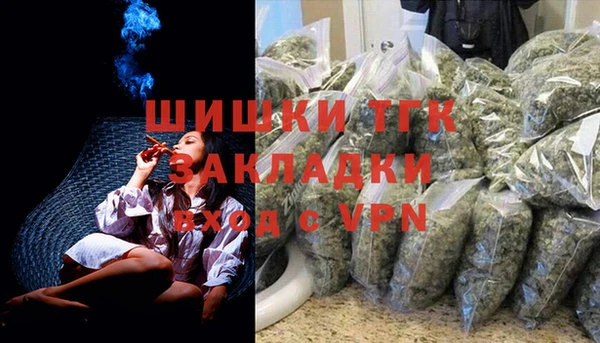 дмт Весьегонск