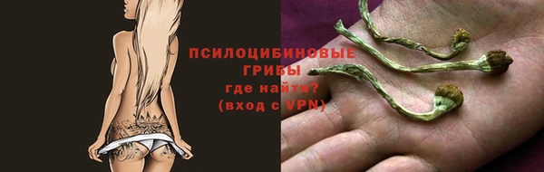 дурь Пересвет