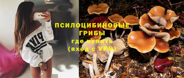 СК Осташков