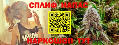 гашик Балахна