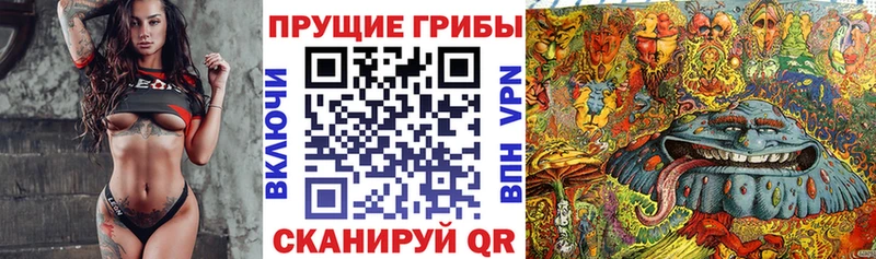 Галлюциногенные грибы Cubensis  Котлас 