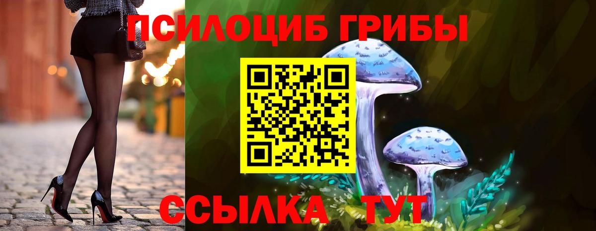 Псилоцибиновые грибы Cubensis  Галлюциногенные грибы Psilocybe  Котлас  Вход с VPN 