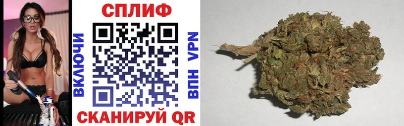 ссылка на мегу зеркало  Котлас  Бошки марихуана Ganja 